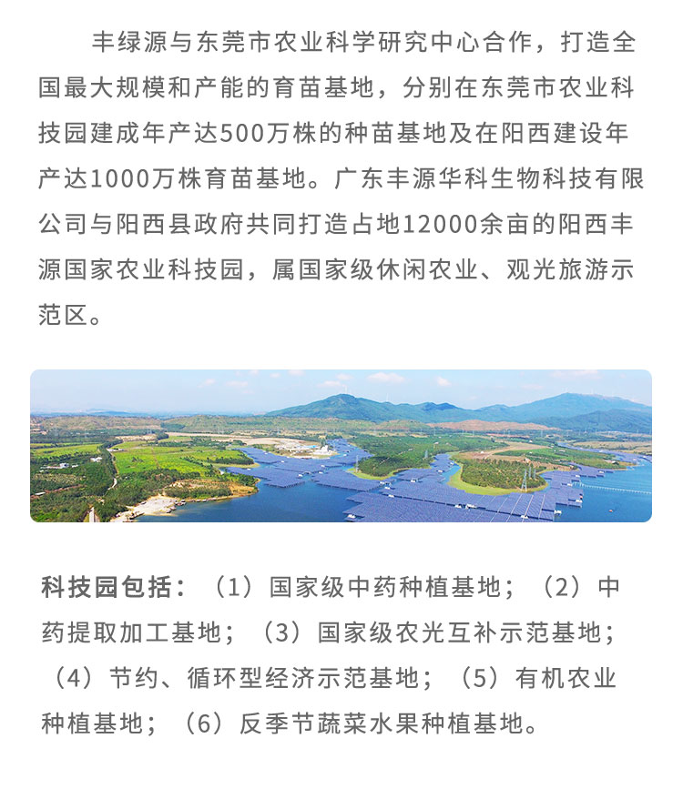 豐綠源與東莞市農(nóng)業(yè)科學研究中心合作，致力于打造大規(guī)模和產(chǎn)能的育苗基地，分別在東莞市農(nóng)業(yè)科技園建成年產(chǎn)達500萬株的種苗基地及在陽西建設年產(chǎn)達1000萬株育苗基地。廣東豐源華科生物科技有限公司與陽西縣政府共同打造占地12000余畝的陽西豐源國家農(nóng)業(yè)科技園，屬休閑農(nóng)業(yè)、觀光旅游示范區(qū)?？萍紙@包括：（1)中藥種植基地；（2)中藥提取加工基地；（3)農(nóng)光互補示范基地；（4)節(jié)約、循環(huán)型經(jīng)濟示范基地；（5)有機農(nóng)業(yè)種植基地；(6)反季節(jié)蔬菜水果種植基地。