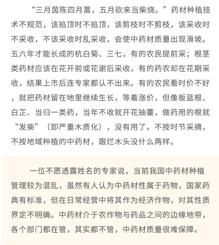 “三月茵陳四月蒿，五月砍來當(dāng)柴燒?！彼幉姆N植技術(shù)不規(guī)范，該掐頂時(shí)不掐頂，該剪枝時(shí)不剪枝，該采收時(shí)不采收，不該采收時(shí)亂采收，會(huì)使中藥材質(zhì)量出現(xiàn)滑坡。五六年才能長(zhǎng)成的杭白菊、三七，有的農(nóng)民提前采;根莖類藥材應(yīng)該在花開前或花謝后采收，有的藥農(nóng)卻在花期采收，結(jié)果上市后連專家都認(rèn)不出來。有的農(nóng)民看時(shí)價(jià)不好，就把藥材留在地里繼續(xù)生長(zhǎng)，等著漲價(jià)，但像板藍(lán)根、白芷、當(dāng)歸一類藥，當(dāng)年不收就開花抽墓，做藥用的根就“發(fā)柴”(即嚴(yán)重木質(zhì)化) ，沒有用了。不按時(shí)節(jié)采摘，不按地域種植的中藥材，跟爛木頭沒什么兩樣。一位不愿透露姓名的專家說，當(dāng)前我國(guó)中藥材種植管理較為混亂，雖然有人認(rèn)為中藥材性屬于藥物，國(guó)家藥典有標(biāo)準(zhǔn)，但在日常經(jīng)營(yíng)中將其作為經(jīng)濟(jì)作物，對(duì)其性質(zhì)界定不明確。中藥材介于農(nóng)作物與藥品之間的邊緣地帶，各個(gè)部門都在管，其實(shí)都不管，中藥材質(zhì)量很難保障。
