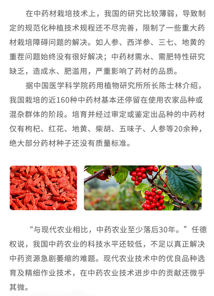 在中藥材栽培技術(shù)上，我國(guó)的研究比較薄弱，導(dǎo)致制定的規(guī)范化種植技術(shù)規(guī)程還不盡完善，限制了- -些重大藥材栽培障礙問題的解決。如人參、西洋參、三七、地黃的重茬問題始終沒有很好解決;中藥材需水、需肥特性研究缺乏，造成水、肥濫用，嚴(yán)重影響了藥材的品質(zhì)。據(jù)中國(guó)醫(yī)學(xué)科學(xué)院藥用植物研究所所長(zhǎng)陳土林介紹，我國(guó)栽培的近160種中藥材基本還停留在使用農(nóng)家品種或濕雜群體的階段。培育并經(jīng)過審定或鑒定出品種的中藥材僅有枸杞、紅花、地黃、柴胡、五味子、人參等20余種，絕大部分藥材種子還沒有質(zhì)量標(biāo)準(zhǔn)?！芭c現(xiàn)代農(nóng)業(yè)相比，中藥農(nóng)業(yè)至少落后30年。”任德權(quán)說，我國(guó)中藥農(nóng)業(yè)的科技水平還較低，不足以真正解決中藥資源急劇菱縮的難題。現(xiàn)代農(nóng)業(yè)技術(shù)中的優(yōu)良品種選育及精細(xì)作業(yè)技術(shù)，在中藥農(nóng)業(yè)技術(shù)進(jìn)步中的貢獻(xiàn)還微乎其微。