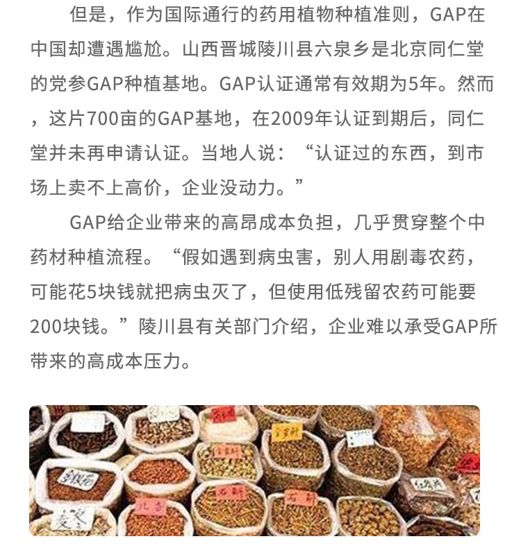 但是，作為國(guó)際通行的藥用植物種植準(zhǔn)則，GAP在中國(guó)卻遭遇尷尬。山西晉城陵川縣六泉鄉(xiāng)是北京同仁堂的黨參GAP種植基地。GAP認(rèn)證通常有效期為5年。然而，這片700畝的GAP基地，在2009年認(rèn)證到期后，同仁堂并未再申請(qǐng)認(rèn)證。當(dāng)?shù)厝苏f:“認(rèn)證過的東西， 到市場(chǎng)上賣不.上高價(jià)，企業(yè)沒動(dòng)力。GAP給企業(yè)帶來的高昂成本負(fù)擔(dān)，幾乎貫穿整個(gè)中藥材種植流程?！凹偃缬龅讲∠x害， 別人用劇毒農(nóng)藥，可能花5塊錢就把病蟲滅了，但使用低殘留農(nóng)藥可能要200塊錢?！绷甏h有關(guān)部門介紹，企業(yè)難以承受GAP所帶來的高成本壓力。