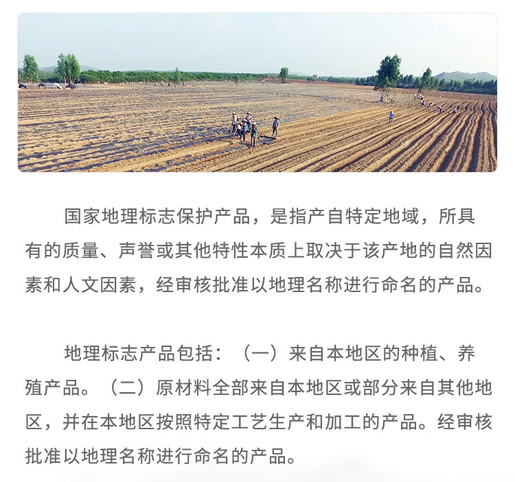 國(guó)家地理標(biāo)志保護(hù)產(chǎn)品，是指產(chǎn)自特定地域，所具有的質(zhì)量、聲譽(yù)或其他特性本質(zhì)上取決于該產(chǎn)地的自然因素和人文因素，經(jīng)審核批準(zhǔn)以地理名稱進(jìn)行命名的產(chǎn)品。地理標(biāo)志產(chǎn)品包括: (一) 來自本地區(qū)的種植、養(yǎng)殖產(chǎn)品。，(二)原材料全部來自本地區(qū)或部分來自其他地區(qū)，并在本地區(qū)按照特定工藝生產(chǎn)和加工的產(chǎn)品。經(jīng)審核批準(zhǔn)以地理名稱進(jìn)行命名的產(chǎn)品。