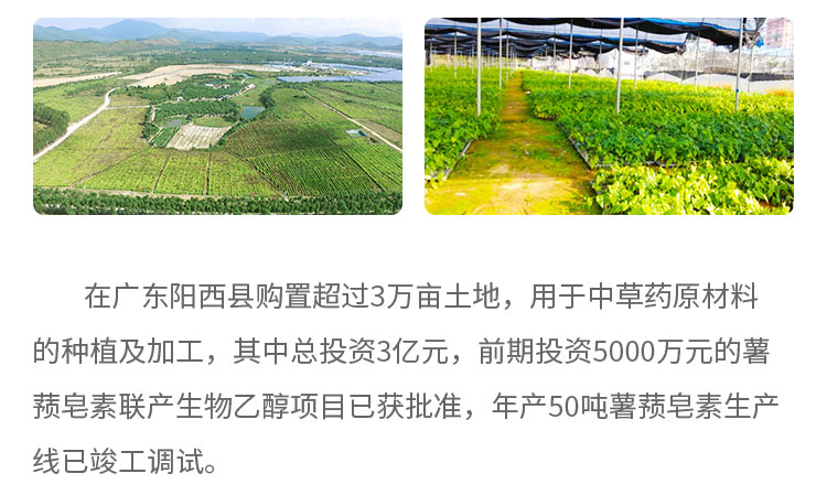 在廣東陽西縣購置超過3萬畝土地,用于中草藥原材料的種植及加工，其中總投資3億元，前期投資5000萬元的薯蕷皂素聯(lián)產(chǎn)生物乙醇項目已獲批準，年產(chǎn)50噸薯蕷皂素生產(chǎn)線已竣工調(diào)試。