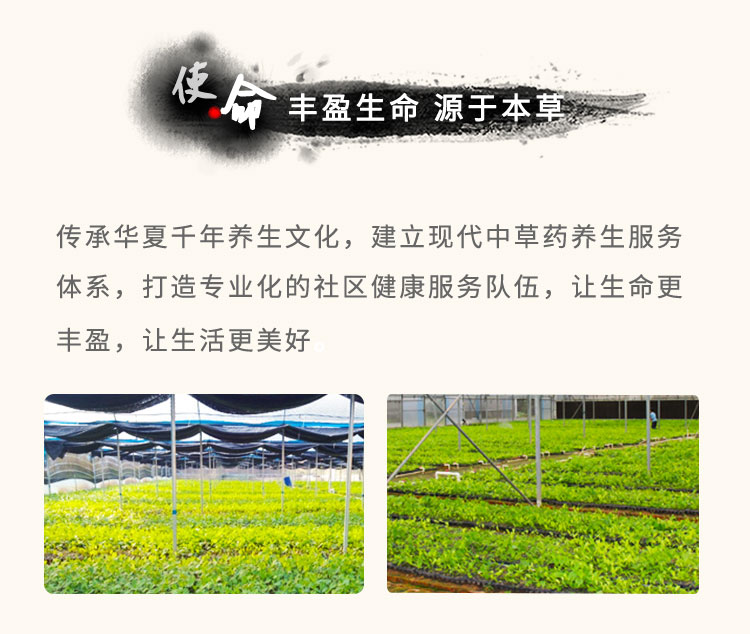 傳承華夏千年養(yǎng)生文化，建立現(xiàn)代中草藥養(yǎng)生服務(wù)體系，打造專業(yè)化的社區(qū)健康服務(wù)隊(duì)伍，讓生命更豐盈，讓生活更美好